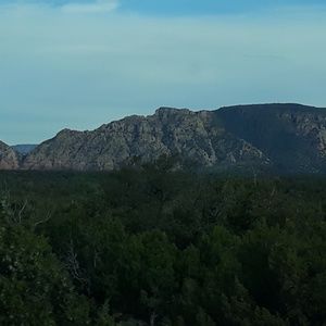 Meet your Posher, Roy